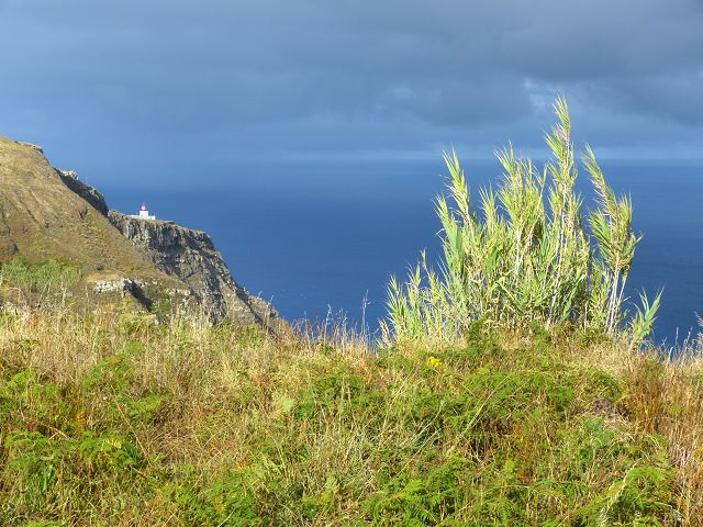 23 July 2014 Pedregal waterfall and Levada do Moinho — To the viewpoint over the waterfall of the Ribeira dos Moinhos — photo 7