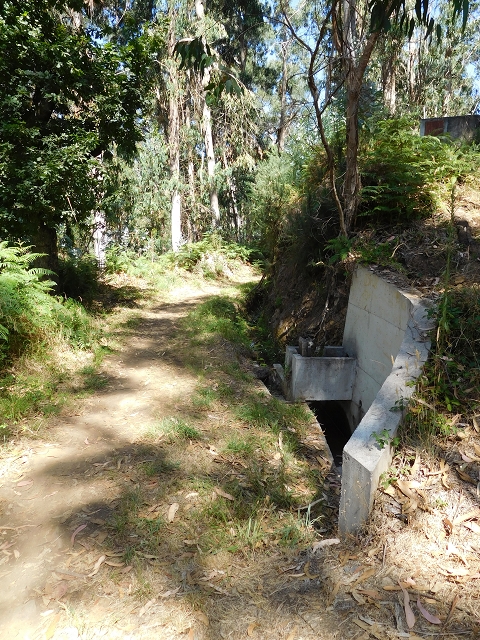 23 July 2015 4 Levadas around Aguas Mansas — From Aguas Mansas to the Lagoa das Aguas Mansas — photo 11