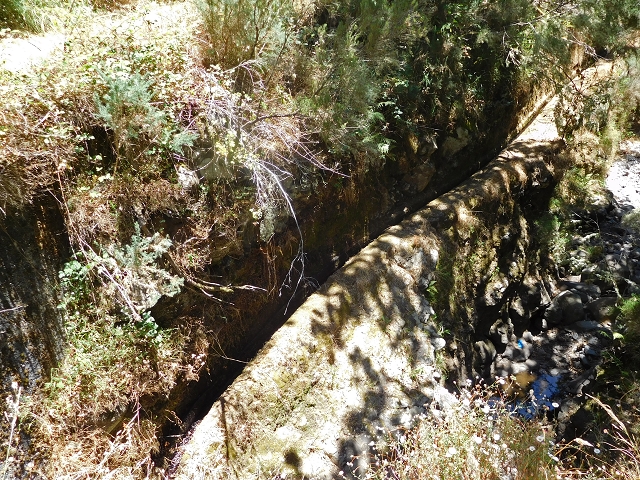 23 July 2015 4 Levadas around Aguas Mansas — On the Levada da Serra do Faial to Quatro Estradas and back to the crossing with the Levada da Morena — photo 46