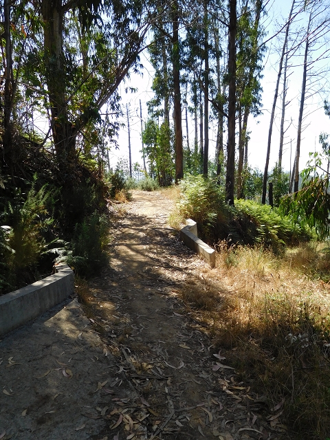 23 July 2015 4 Levadas around Aguas Mansas — From Aguas Mansas to the Lagoa das Aguas Mansas — photo 12