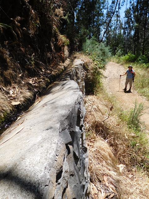 23 July 2015 4 Levadas around Aguas Mansas — On the Levada da Serra do Faial to Quatro Estradas and back to the crossing with the Levada da Morena — photo 48