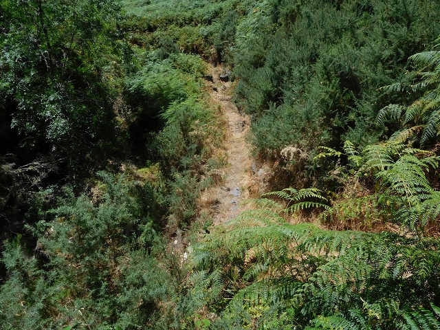 23 July 2015 4 Levadas around Aguas Mansas — Descent on the Levada da Morena as far as the Levada dos Tornos — photo 1