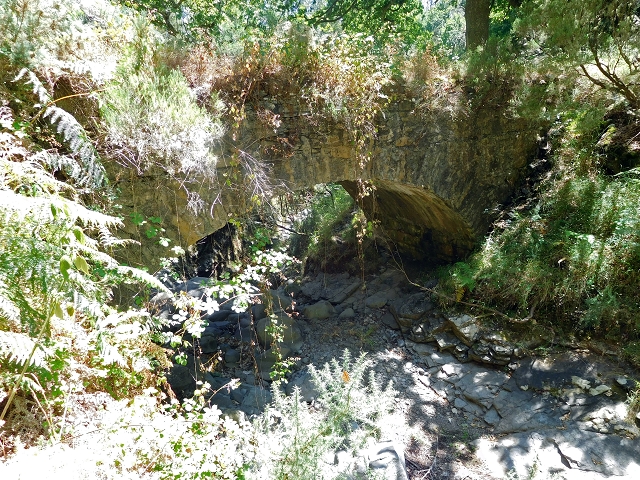 23 July 2015 4 Levadas around Aguas Mansas — Descent on the Levada da Morena as far as the Levada dos Tornos — photo 2