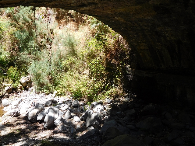 23 July 2015 4 Levadas around Aguas Mansas — Descent on the Levada da Morena as far as the Levada dos Tornos — photo 3