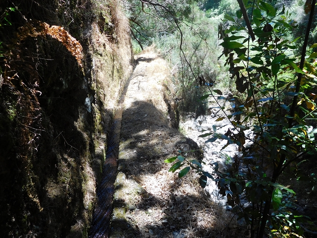 23 July 2015 4 Levadas around Aguas Mansas — Descent on the Levada da Morena as far as the Levada dos Tornos — photo 7