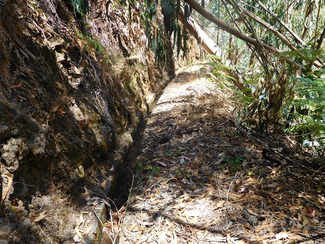 23 July 2015 4 Levadas around Aguas Mansas — Descent on the Levada da Morena as far as the Levada dos Tornos — photo 9