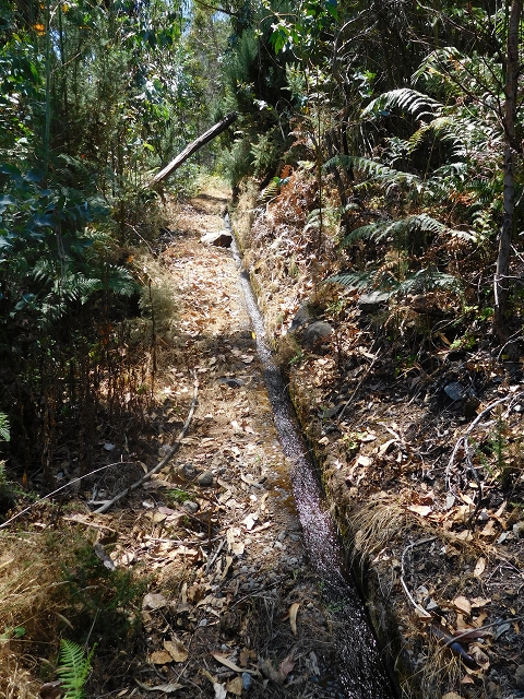 23 July 2015 4 Levadas around Aguas Mansas — Descent on the Levada da Morena as far as the Levada dos Tornos — photo 11