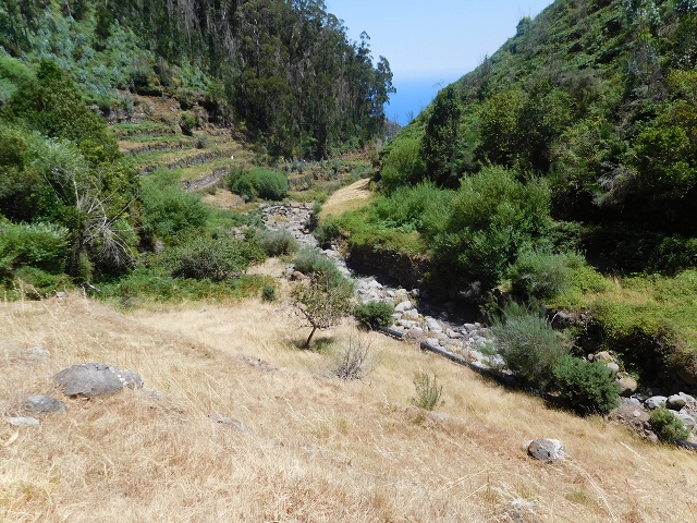 23 July 2015 4 Levadas around Aguas Mansas — Descent on the Levada da Morena as far as the Levada dos Tornos — photo 15