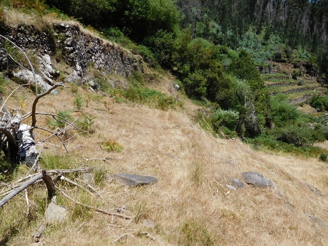 23 July 2015 4 Levadas around Aguas Mansas — Descent on the Levada da Morena as far as the Levada dos Tornos — photo 16