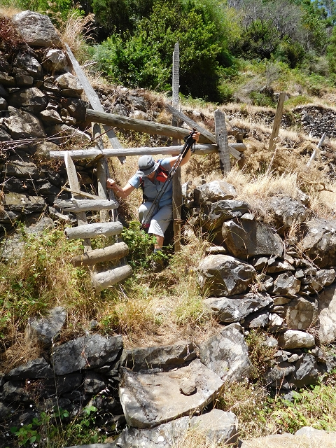 23 July 2015 4 Levadas around Aguas Mansas — Descent on the Levada da Morena as far as the Levada dos Tornos — photo 17