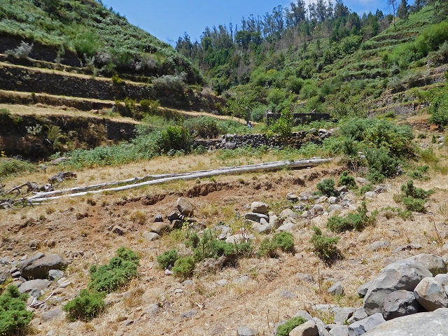 23 July 2015 4 Levadas around Aguas Mansas — Descent on the Levada da Morena as far as the Levada dos Tornos — photo 19