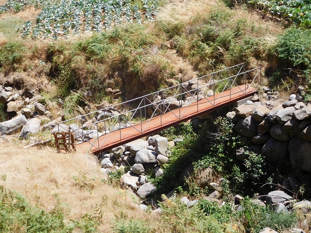 23 July 2015 4 Levadas around Aguas Mansas — Descent on the Levada da Morena as far as the Levada dos Tornos — photo 20