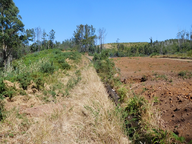 23 July 2015 4 Levadas around Aguas Mansas — From Aguas Mansas to the Lagoa das Aguas Mansas — photo 15