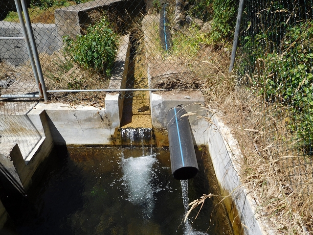 23 July 2015 4 Levadas around Aguas Mansas — Descent on the Levada da Morena as far as the Levada dos Tornos — photo 22