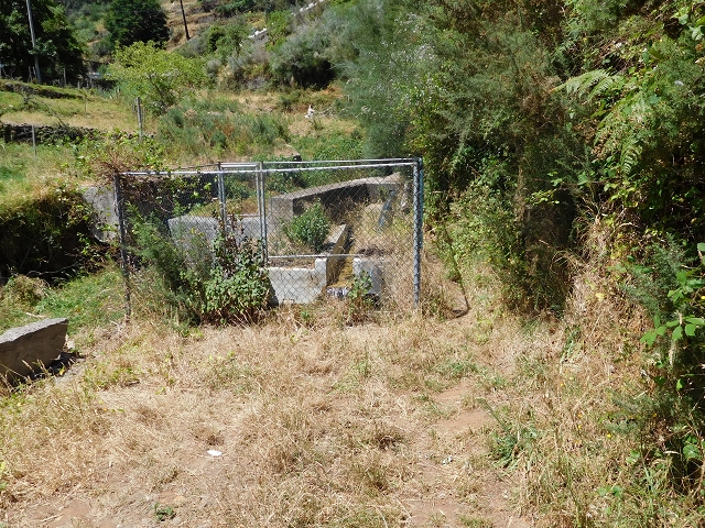 23 July 2015 4 Levadas around Aguas Mansas — Descent on the Levada da Morena as far as the Levada dos Tornos — photo 23