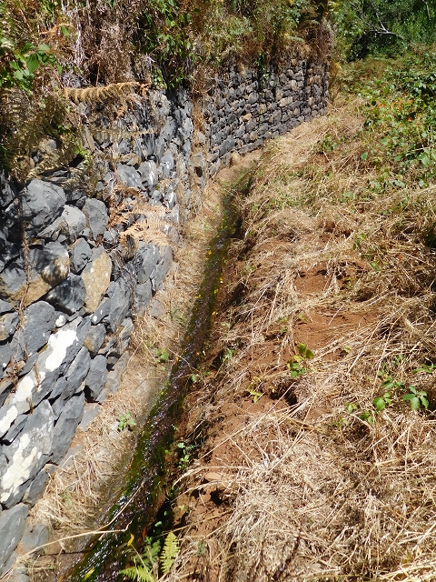 23 July 2015 4 Levadas around Aguas Mansas — Descent on the Levada da Morena as far as the Levada dos Tornos — photo 31