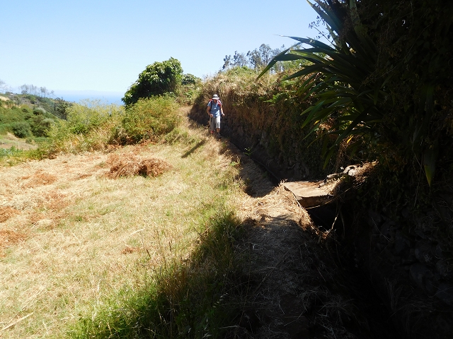23 July 2015 4 Levadas around Aguas Mansas — Descent on the Levada da Morena as far as the Levada dos Tornos — photo 32