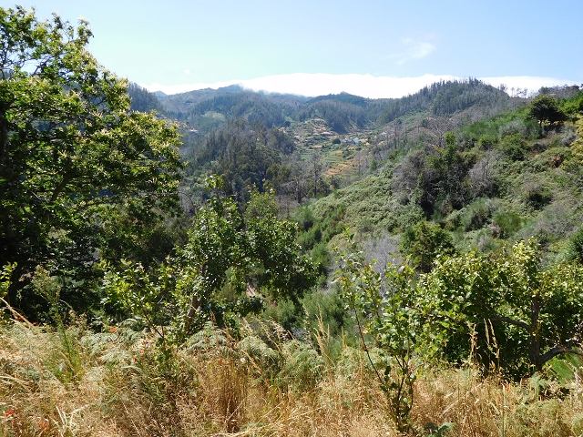 23 July 2015 4 Levadas around Aguas Mansas — Descent on the Levada da Morena as far as the Levada dos Tornos — photo 36