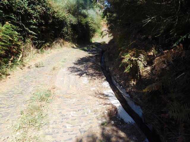 23 July 2015 4 Levadas around Aguas Mansas — Descent on the Levada da Morena as far as the Levada dos Tornos — photo 38