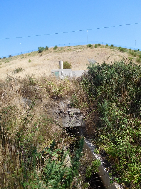 23 July 2015 4 Levadas around Aguas Mansas — From Aguas Mansas to the Lagoa das Aguas Mansas — photo 17