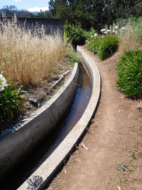 23 July 2015 4 Levadas around Aguas Mansas — On the Levada dos Tornos as far as Fonte dos Almocreves — photo 1