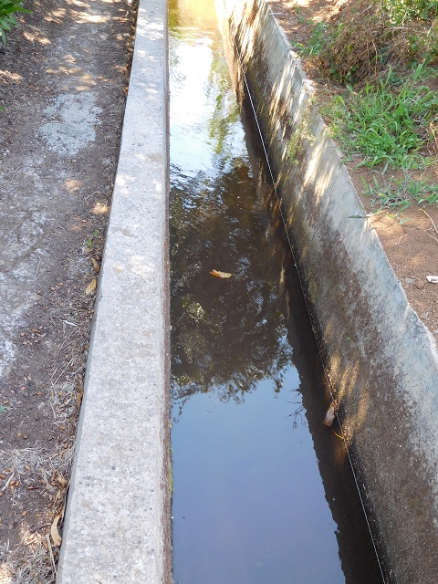 23 July 2015 4 Levadas around Aguas Mansas — On the Levada dos Tornos as far as Fonte dos Almocreves — photo 4