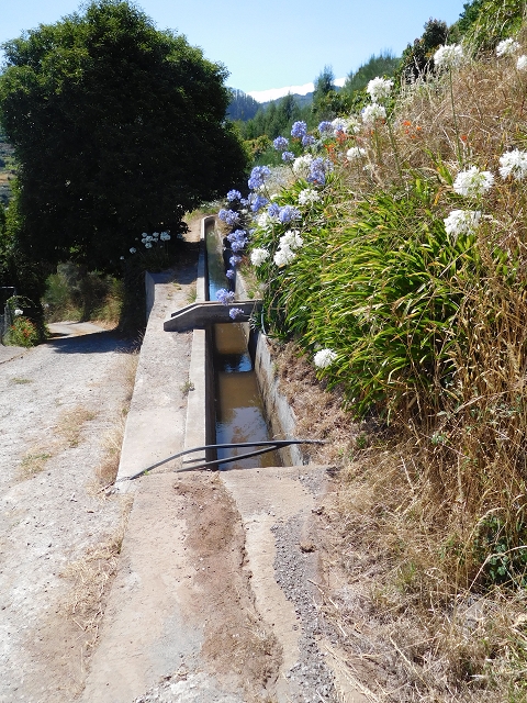 23 July 2015 4 Levadas around Aguas Mansas — On the Levada dos Tornos as far as Fonte dos Almocreves — photo 6