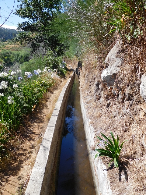 23 July 2015 4 Levadas around Aguas Mansas — On the Levada dos Tornos as far as Fonte dos Almocreves — photo 8