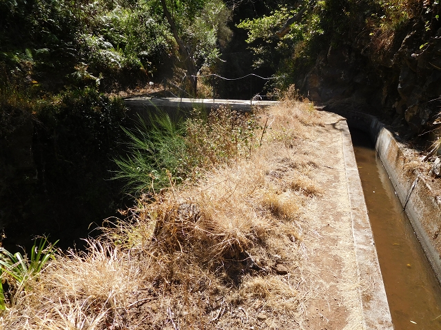 23 July 2015 4 Levadas around Aguas Mansas — On the Levada dos Tornos as far as Fonte dos Almocreves — photo 11