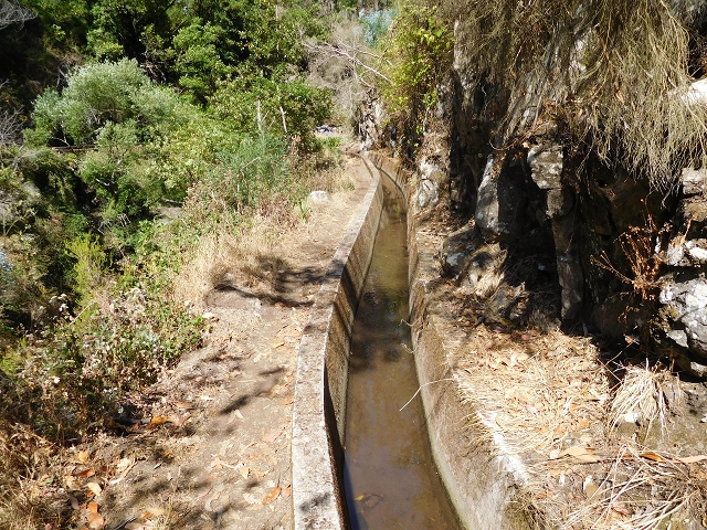 23 July 2015 4 Levadas around Aguas Mansas — On the Levada dos Tornos as far as Fonte dos Almocreves — photo 14