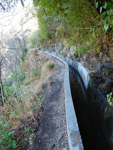 23 July 2015 4 Levadas around Aguas Mansas — On the Levada dos Tornos as far as Fonte dos Almocreves — photo 16