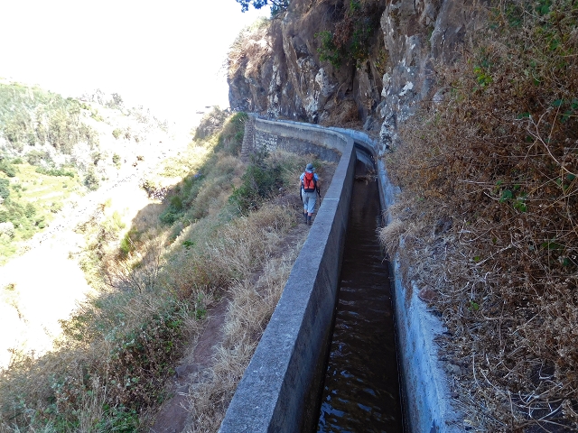 23 July 2015 4 Levadas around Aguas Mansas — On the Levada dos Tornos as far as Fonte dos Almocreves — photo 18