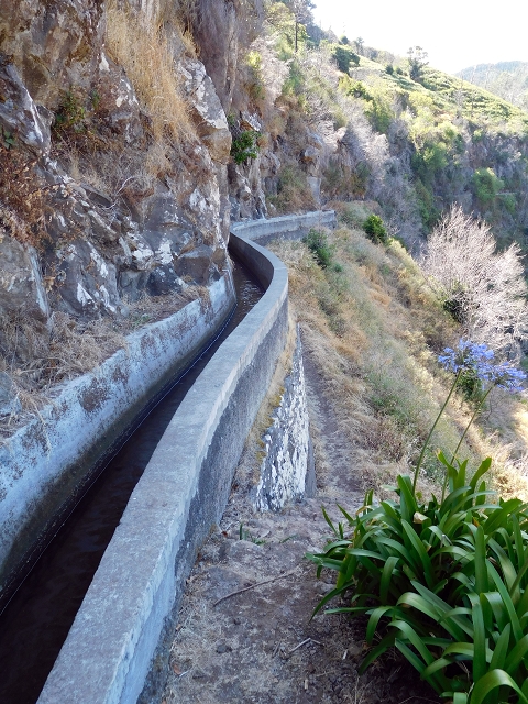 23 July 2015 4 Levadas around Aguas Mansas — On the Levada dos Tornos as far as Fonte dos Almocreves — photo 19