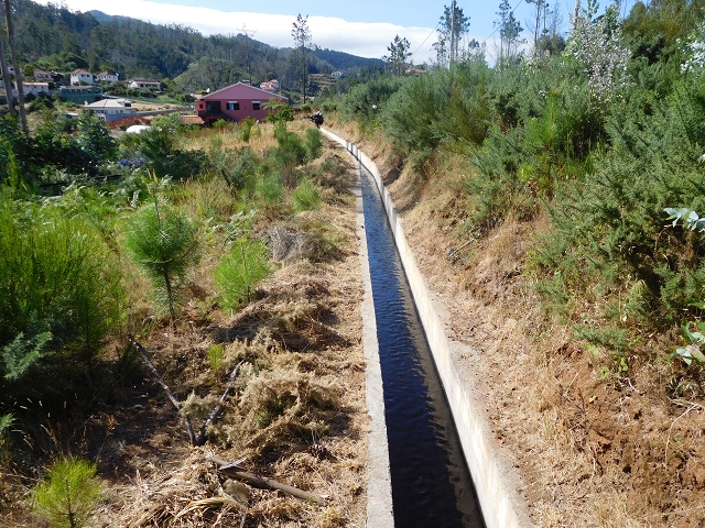 23 July 2015 4 Levadas around Aguas Mansas — Climb on the road and the Levada do Pico das Eiroses to Aguas Mansas — photo 2
