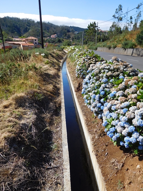 23 July 2015 4 Levadas around Aguas Mansas — Climb on the road and the Levada do Pico das Eiroses to Aguas Mansas — photo 4
