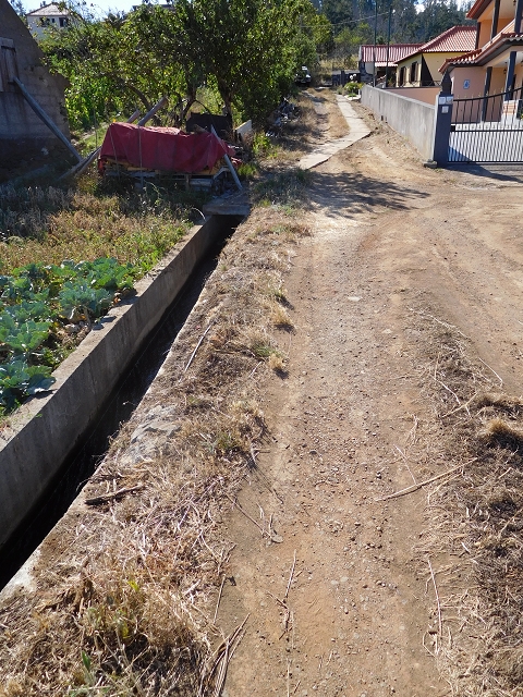 23 July 2015 4 Levadas around Aguas Mansas — Climb on the road and the Levada do Pico das Eiroses to Aguas Mansas — photo 6