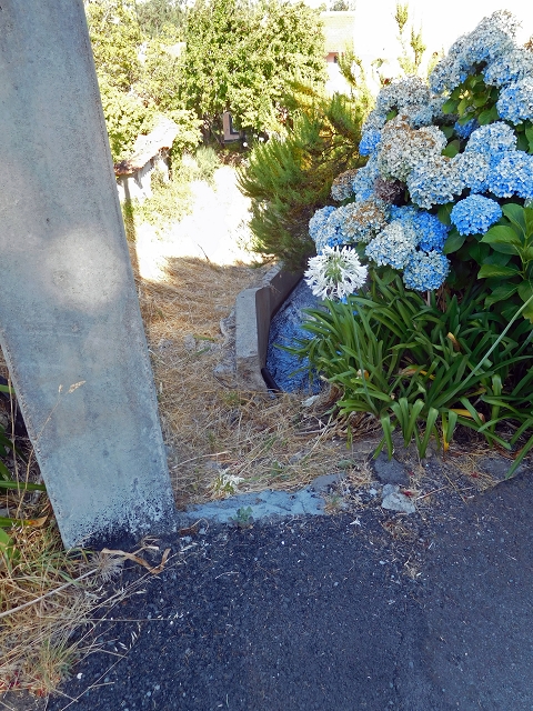 23 July 2015 4 Levadas around Aguas Mansas — Climb on the road and the Levada do Pico das Eiroses to Aguas Mansas — photo 7