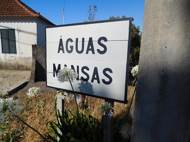 23 July 2015 4 Levadas around Aguas Mansas — Climb on the road and the Levada do Pico das Eiroses to Aguas Mansas — photo 8