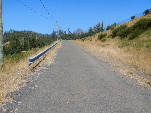 23 July 2015 4 Levadas around Aguas Mansas — From Aguas Mansas to the Lagoa das Aguas Mansas — photo 21