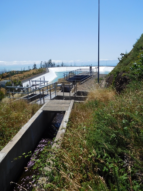 23 July 2015 4 Levadas around Aguas Mansas — To the Madre of the Levada do Pico das Eiroses and back — photo 4