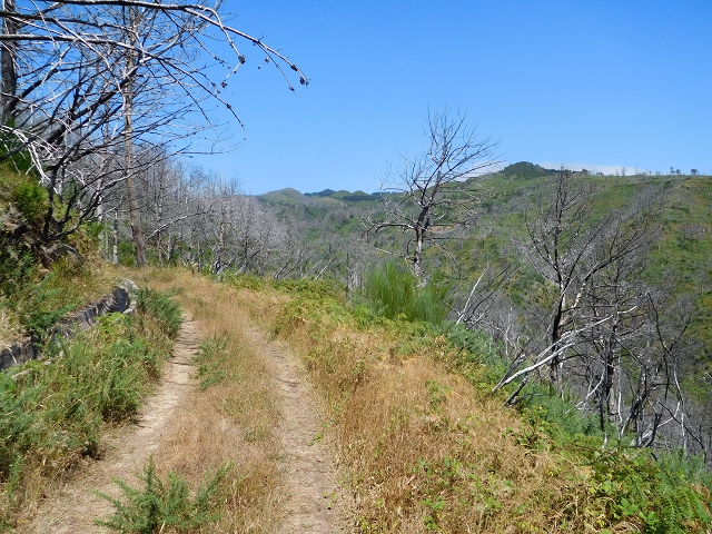 23 July 2015 4 Levadas around Aguas Mansas — To the Madre of the Levada do Pico das Eiroses and back — photo 6