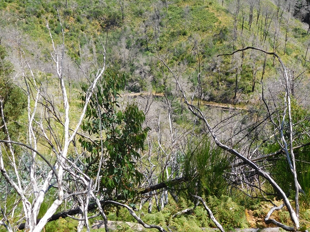 23 July 2015 4 Levadas around Aguas Mansas — To the Madre of the Levada do Pico das Eiroses and back — photo 7