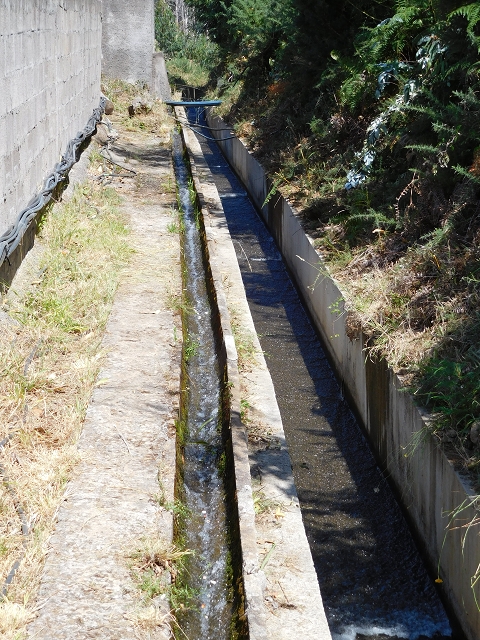 23 July 2015 4 Levadas around Aguas Mansas — From Aguas Mansas to the Lagoa das Aguas Mansas — photo 3