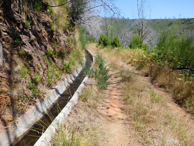 23 July 2015 4 Levadas around Aguas Mansas — To the Madre of the Levada do Pico das Eiroses and back — photo 9