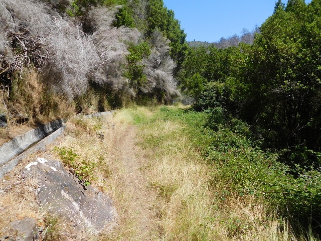 23 July 2015 4 Levadas around Aguas Mansas — To the Madre of the Levada do Pico das Eiroses and back — photo 20