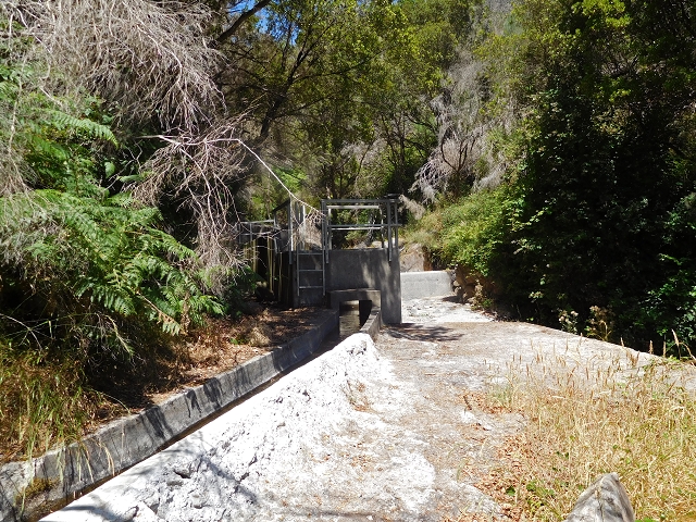 23 July 2015 4 Levadas around Aguas Mansas — To the Madre of the Levada do Pico das Eiroses and back — photo 24
