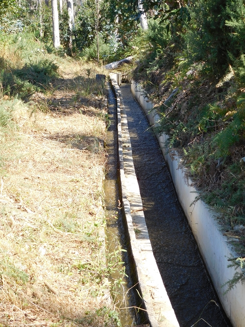23 July 2015 4 Levadas around Aguas Mansas — From Aguas Mansas to the Lagoa das Aguas Mansas — photo 5