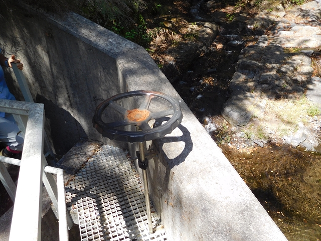 23 July 2015 4 Levadas around Aguas Mansas — To the Madre of the Levada do Pico das Eiroses and back — photo 30