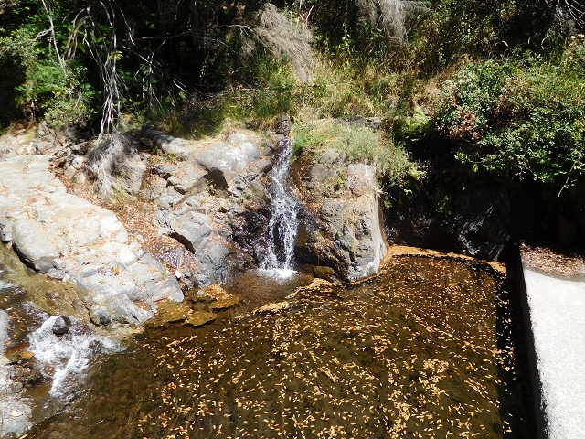 23 July 2015 4 Levadas around Aguas Mansas — To the Madre of the Levada do Pico das Eiroses and back — photo 31