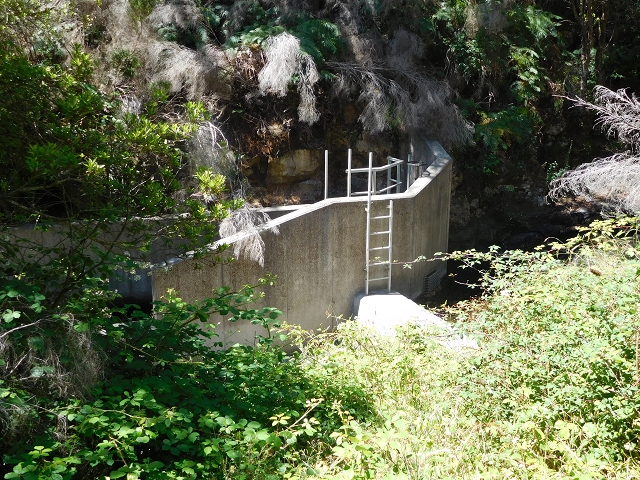 23 July 2015 4 Levadas around Aguas Mansas — To the Madre of the Levada do Pico das Eiroses and back — photo 35